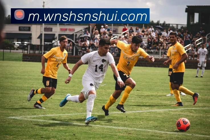 澳门威尼斯官网发展历程